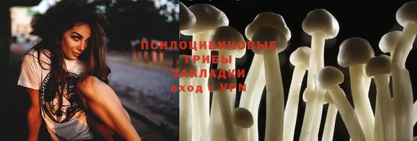 каннабис Майский