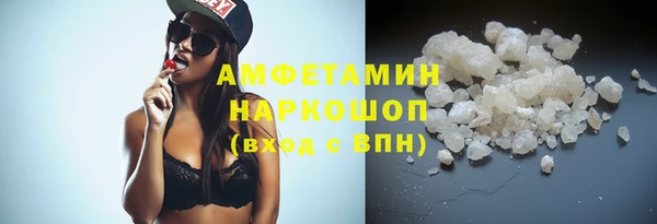 стаф Медногорск