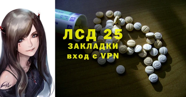 стаф Медногорск