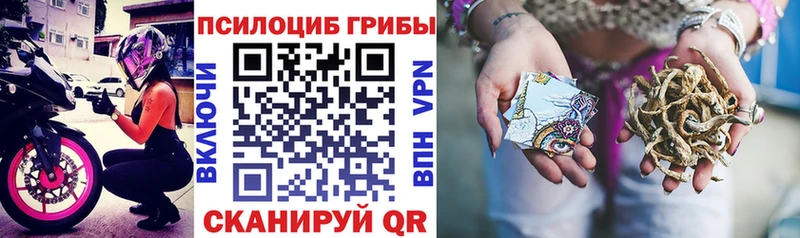 Галлюциногенные грибы MAGIC MUSHROOMS  Белоозёрский 